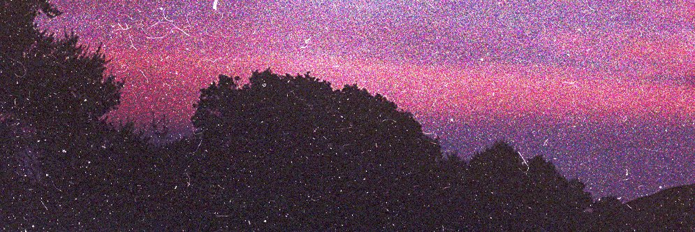 Tvrtle's profile banner image