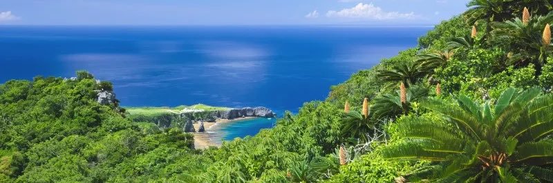 やんばる🏄🏾‍♂️ banner