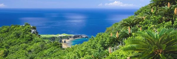 serorrin Profile Banner