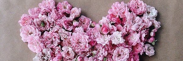 HubschManon's profile banner image