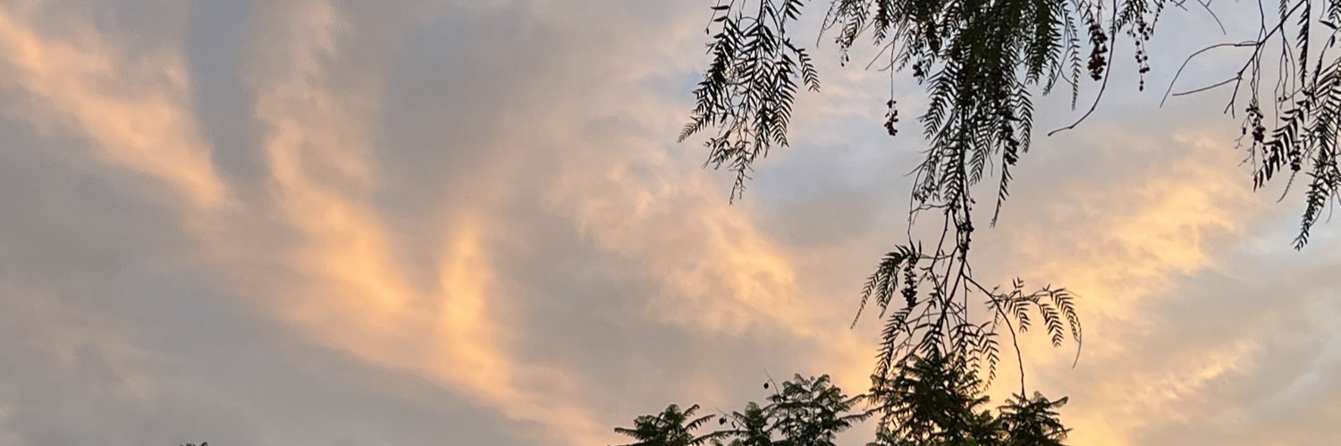 Noemí🌪️ banner