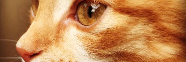 eklundpower's profile banner image
