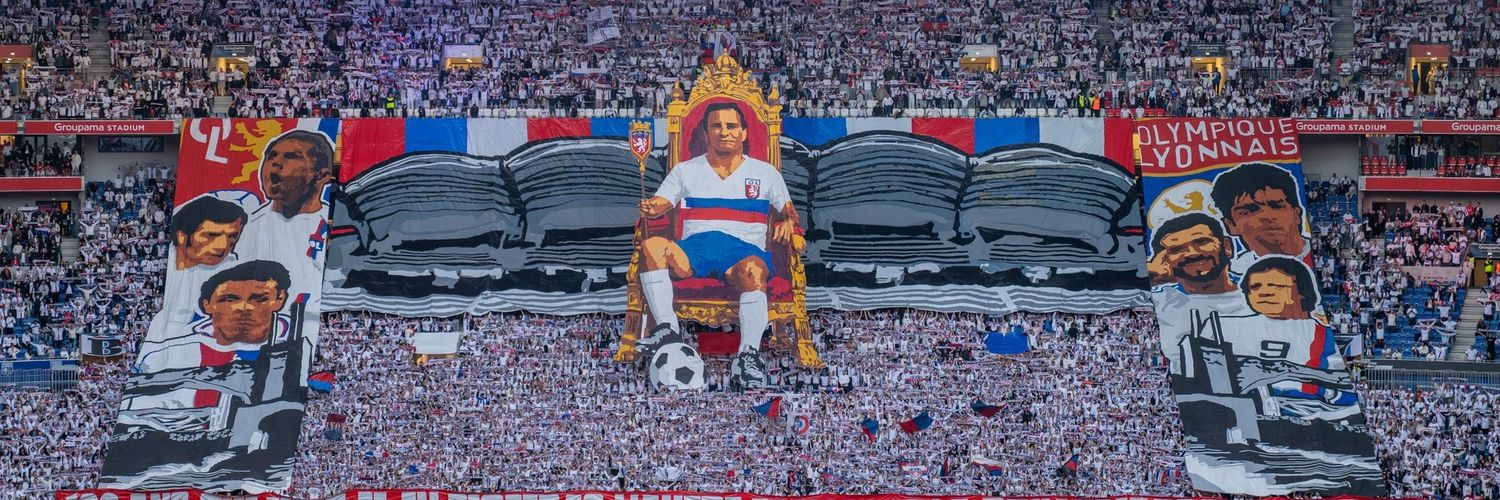 Hugo 🇫🇷 ⭐⭐🦁 banner