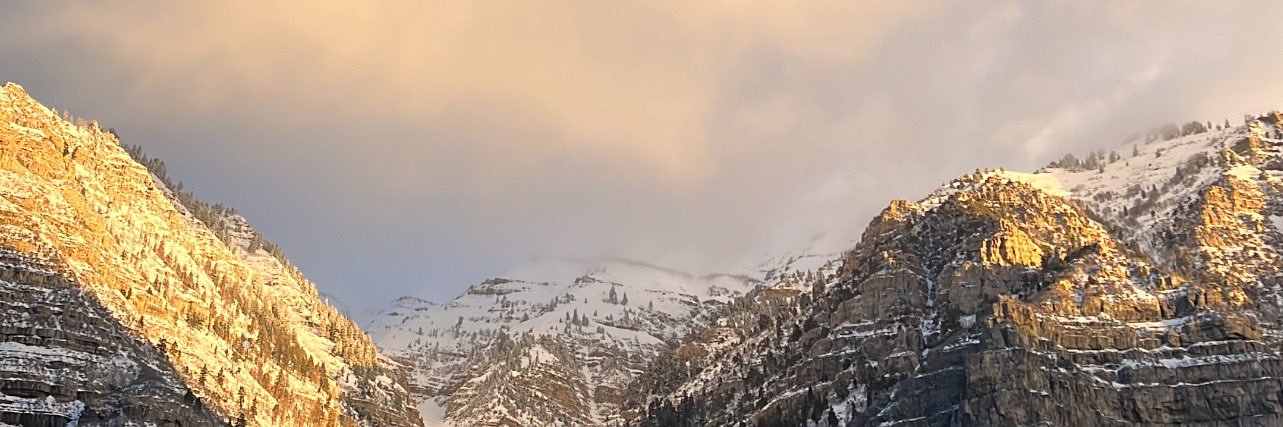 theginajames's profile banner image