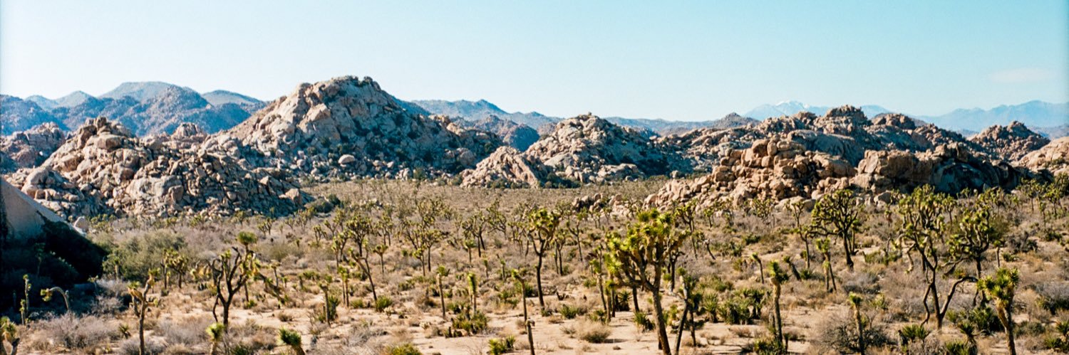 Cole Short banner