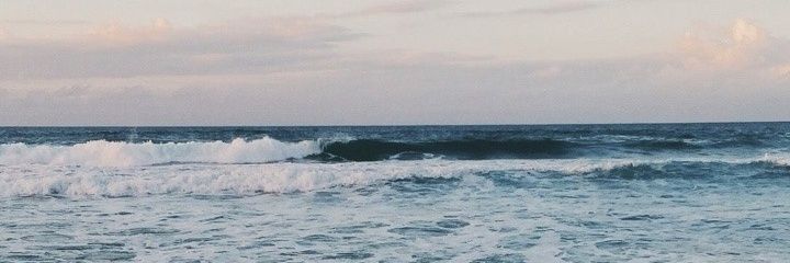 ElzemCimorelli's profile banner image