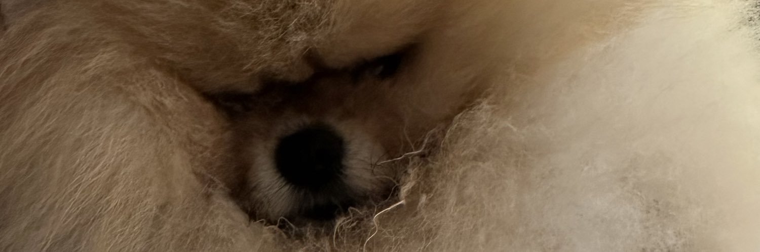 markoperovic29's profile banner image