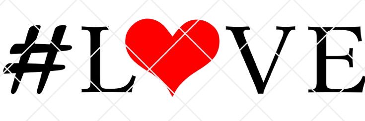 Daisy Shannon banner
