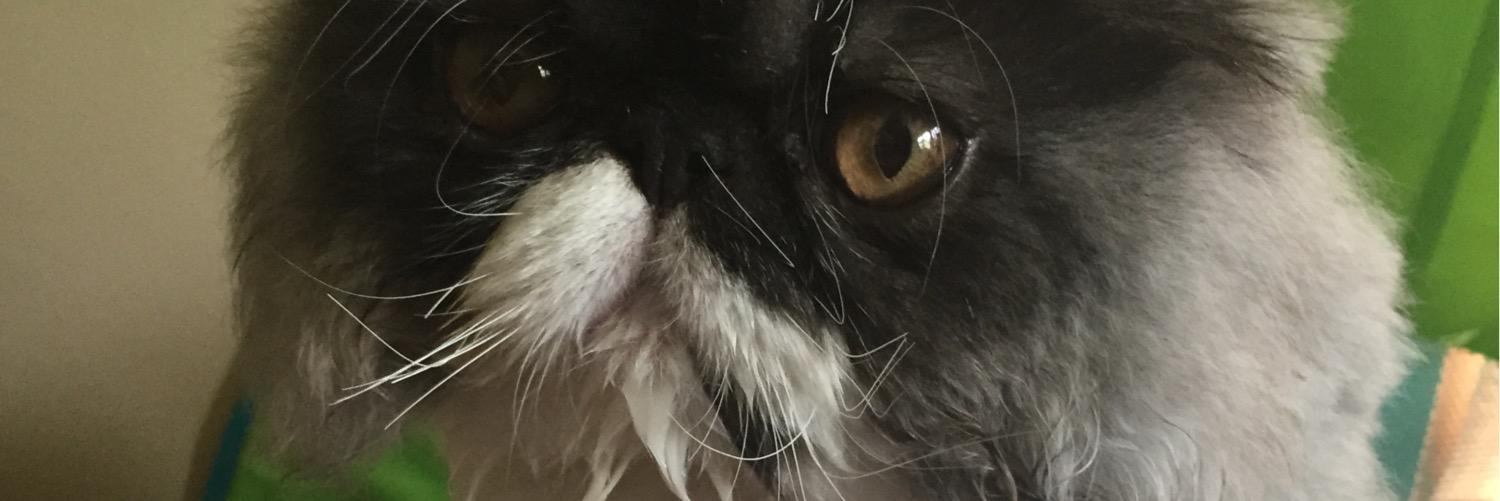 TheRealGShady's profile banner image