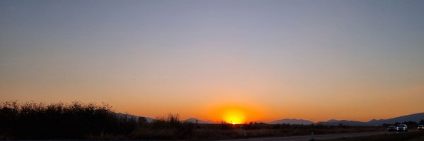 jucamuva Profile Banner