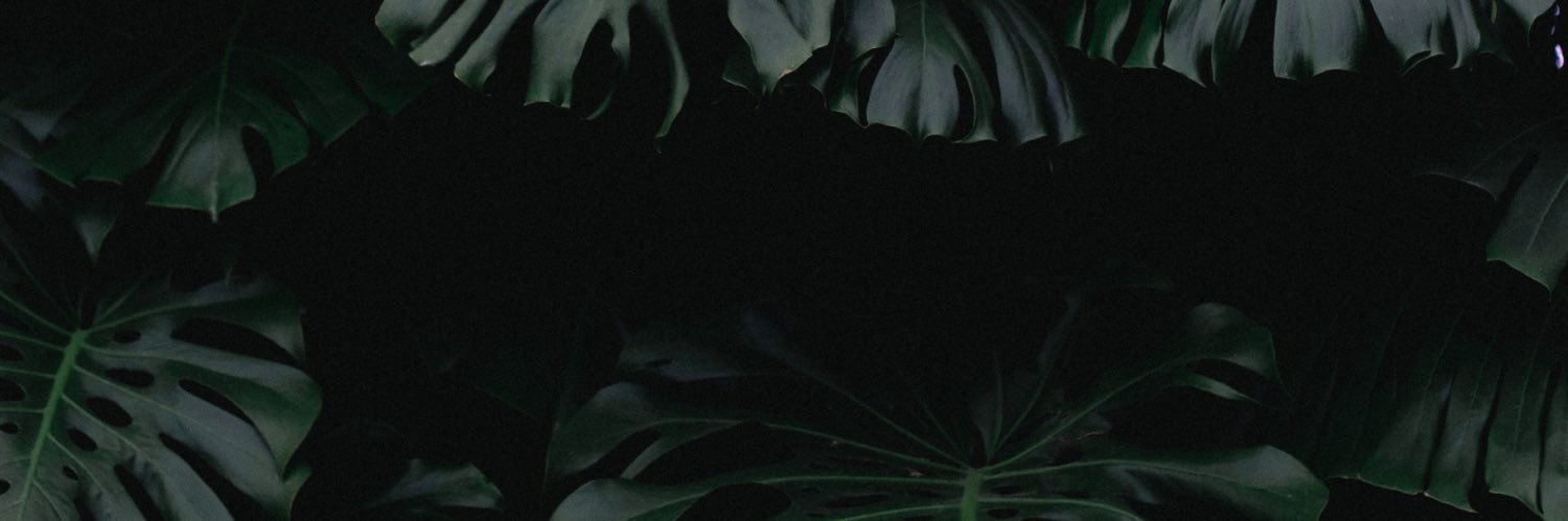 saint🐶 FREE OF banner