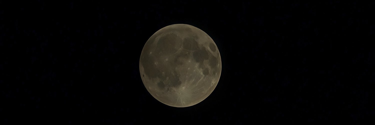 LingErXDY's profile banner image
