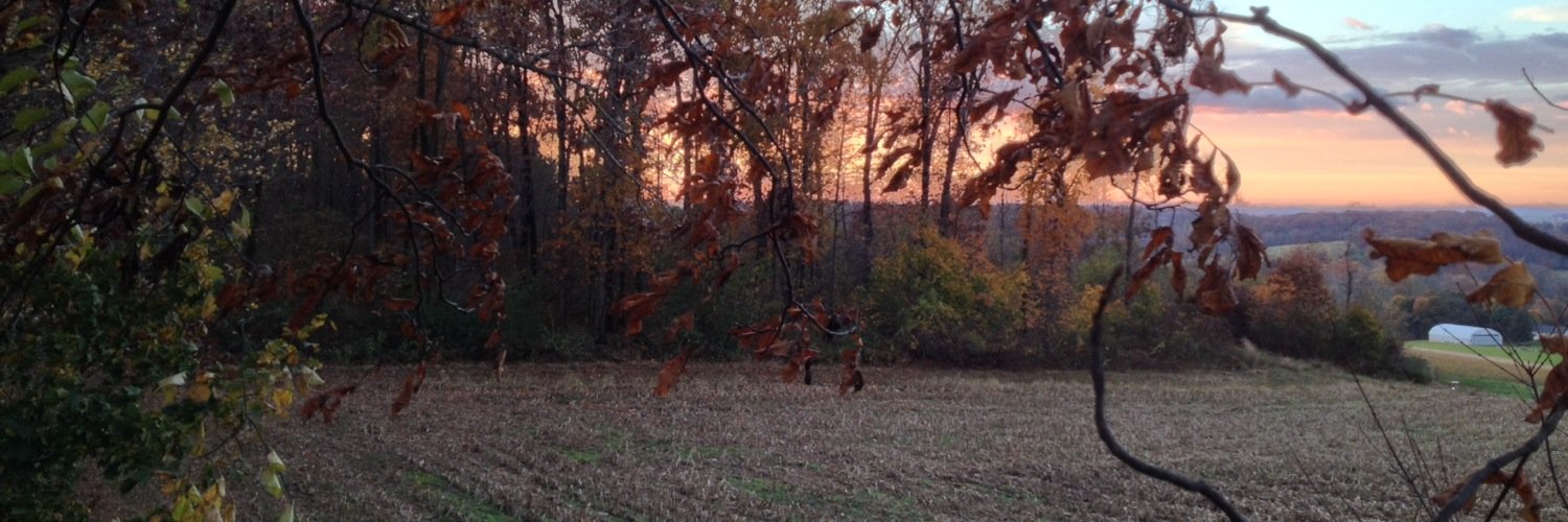 cloydvarner's profile banner image