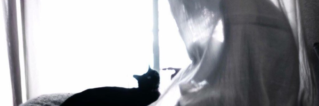 keymonochrome's profile banner image