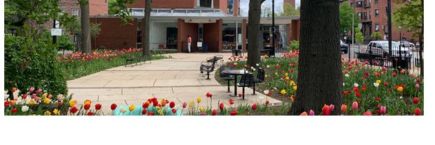 South End Library banner