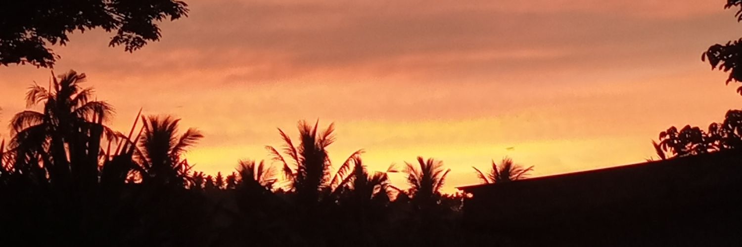 fahyevorite's profile banner image