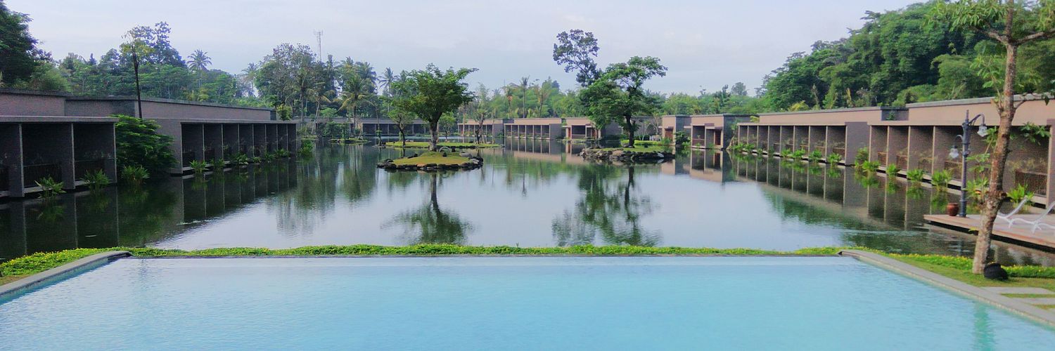 CurcumuPlus banner