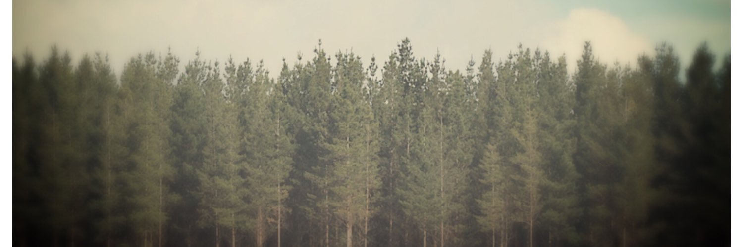 TheeBoy_Wonder's profile banner image
