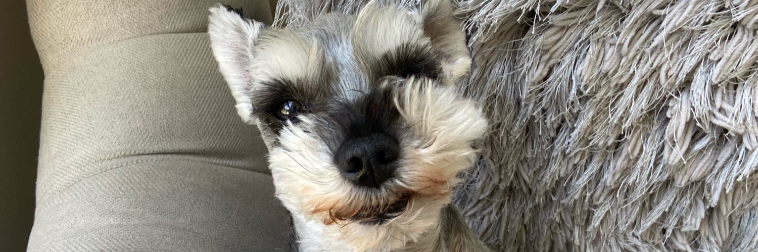 lan_smithers's profile banner image