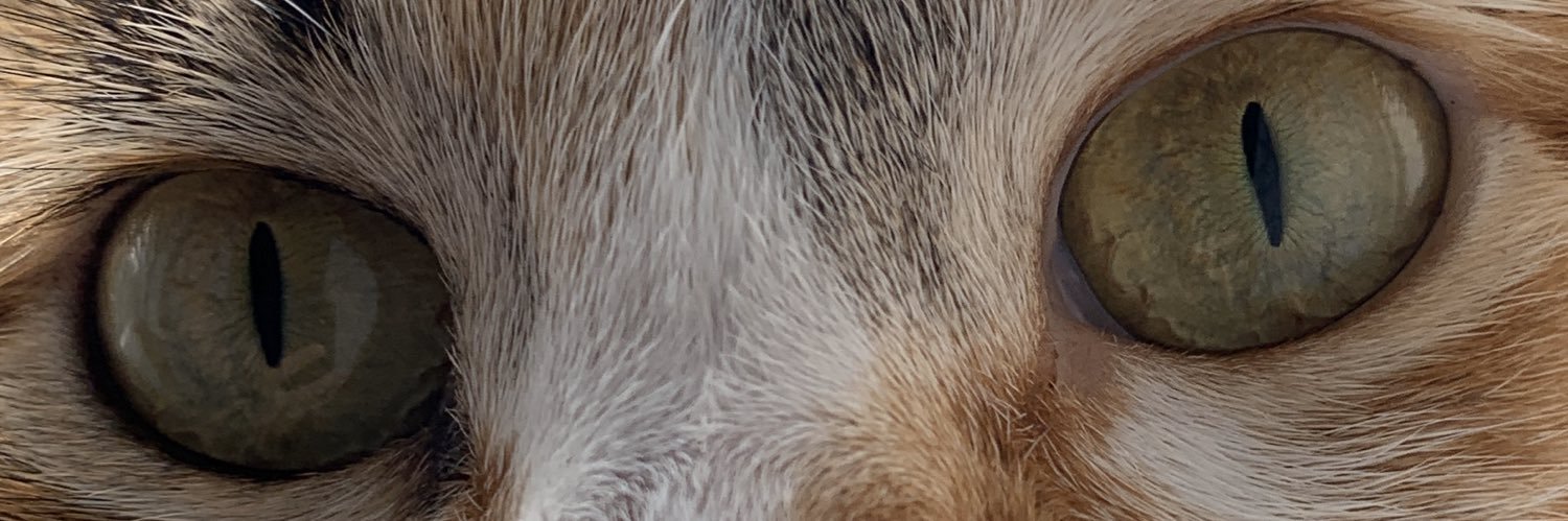 RuizLC's profile banner image