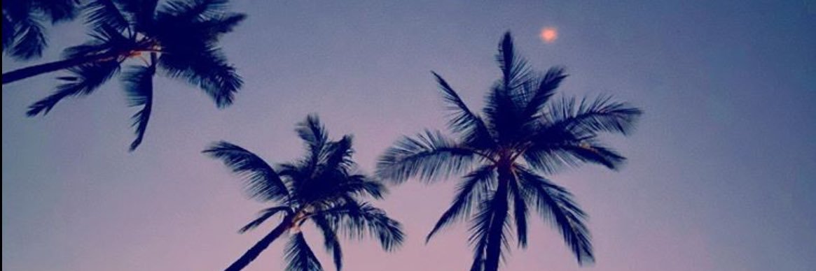 RaquelMoritz's profile banner image