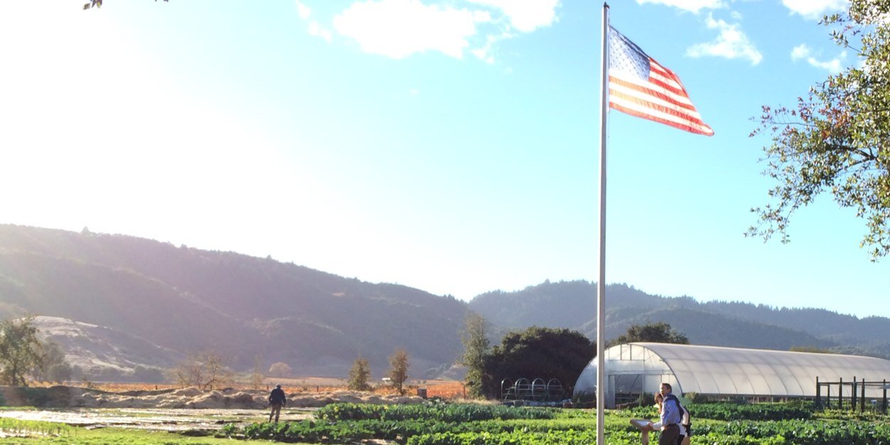 Terilynn Buchanan banner