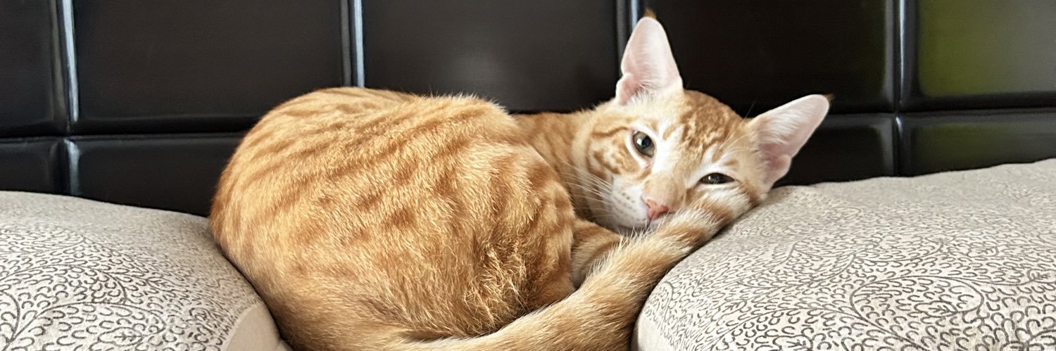 Light-Say-Burr banner