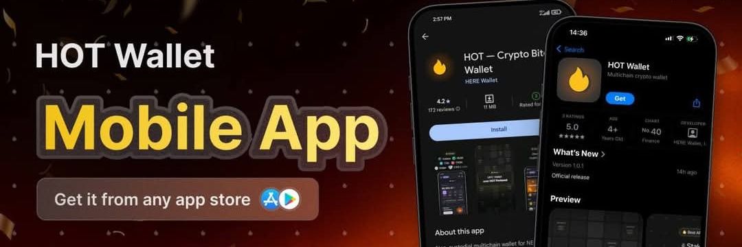 Nuruddeen Hussaini banner