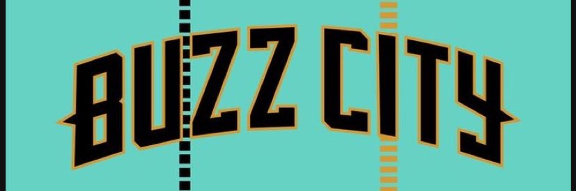 Hornets🐝🩵 banner