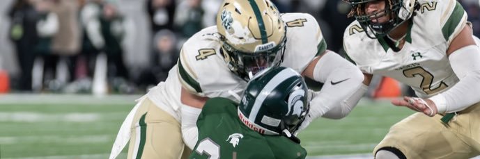 Michael Palmieri banner