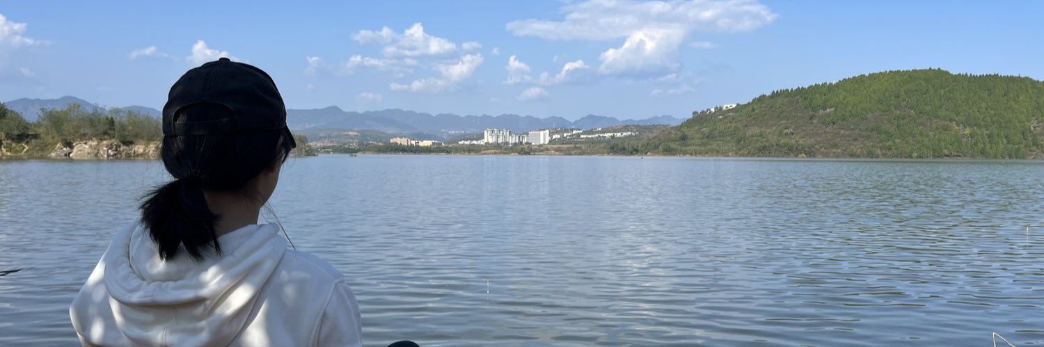 lingshihezi's profile banner image