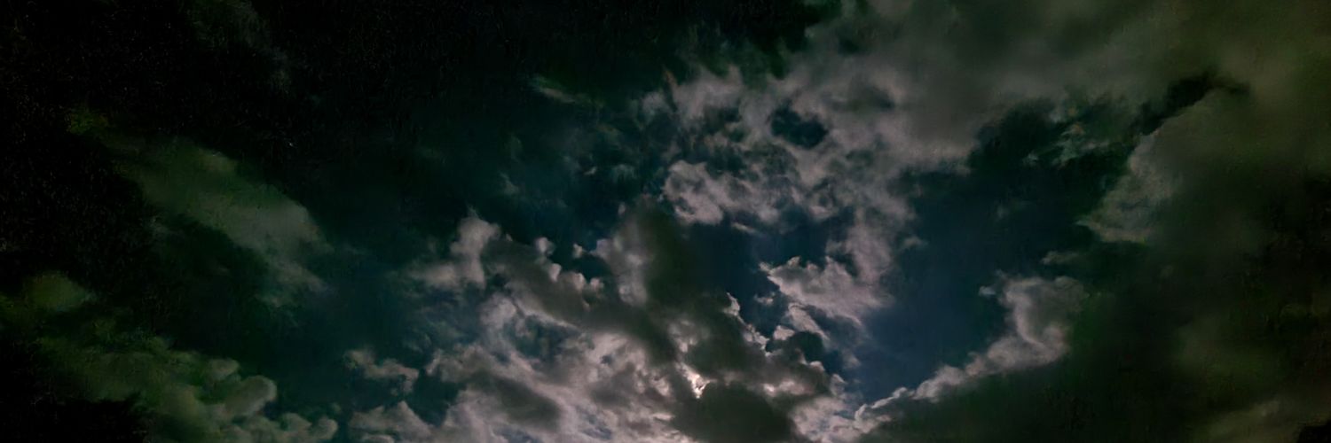 Bastardmouse's profile banner image
