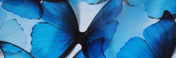 Rày🦋 Profile Banner