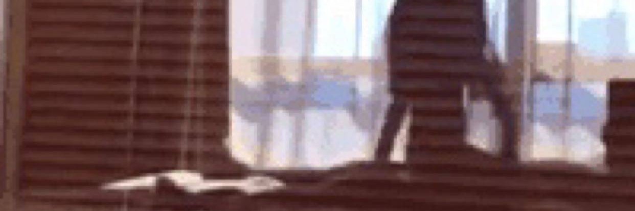 xiaojinger0's profile banner image
