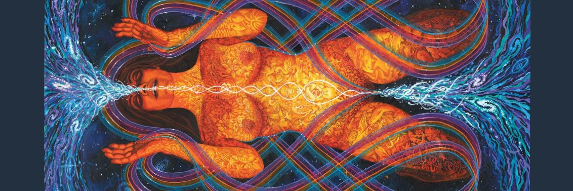 Bear.minimum69 banner