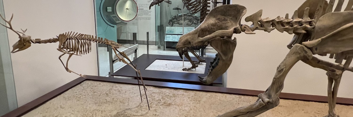 Ausarchosaur's banner