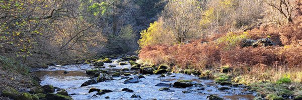 chrisdym2 Profile Banner