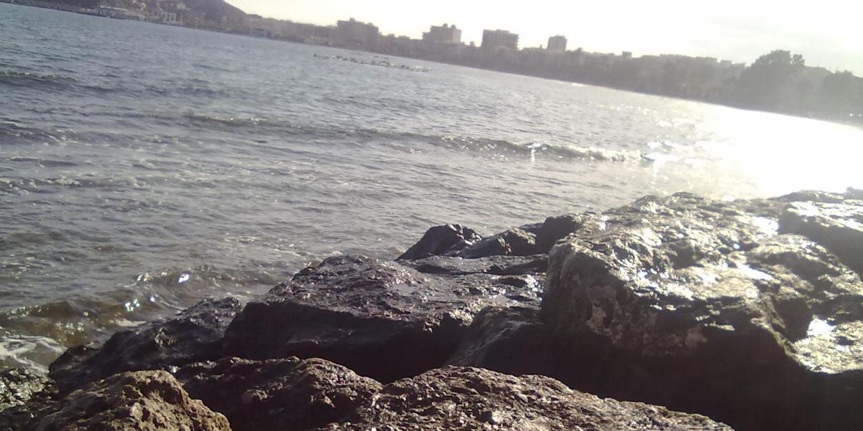 merylenty's profile banner image