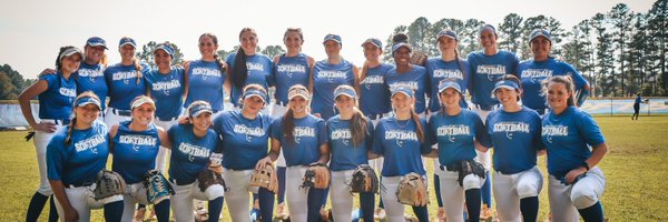 ChowanSoftball Profile Banner