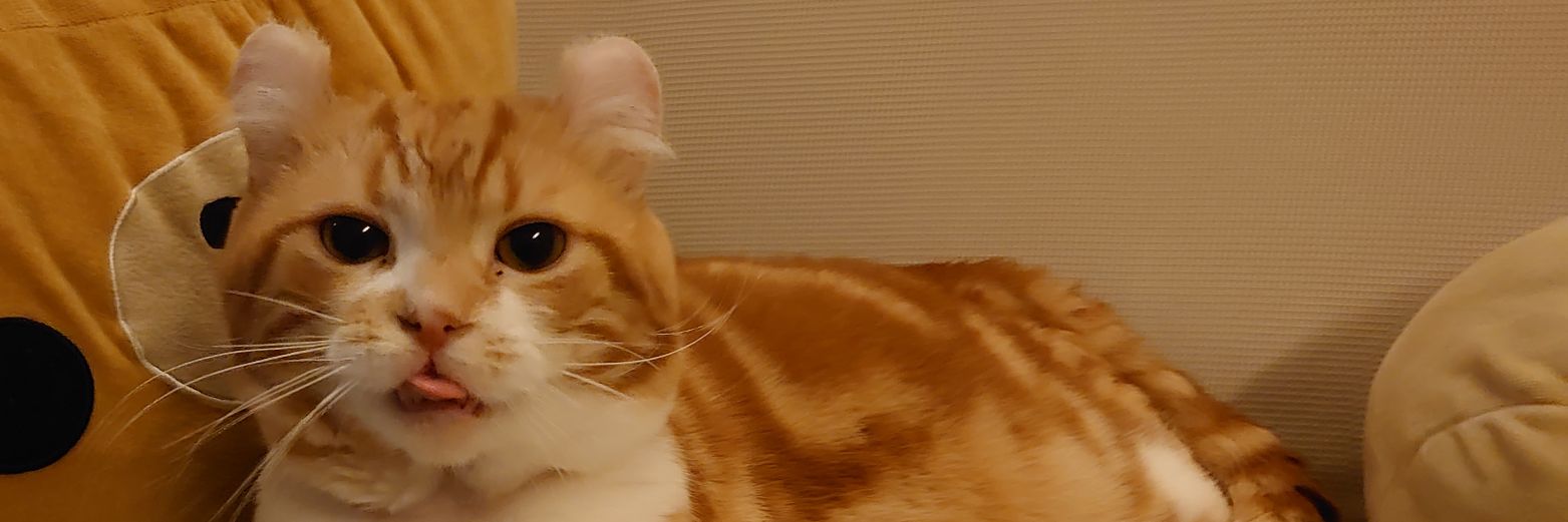 mooyan_san's profile banner image