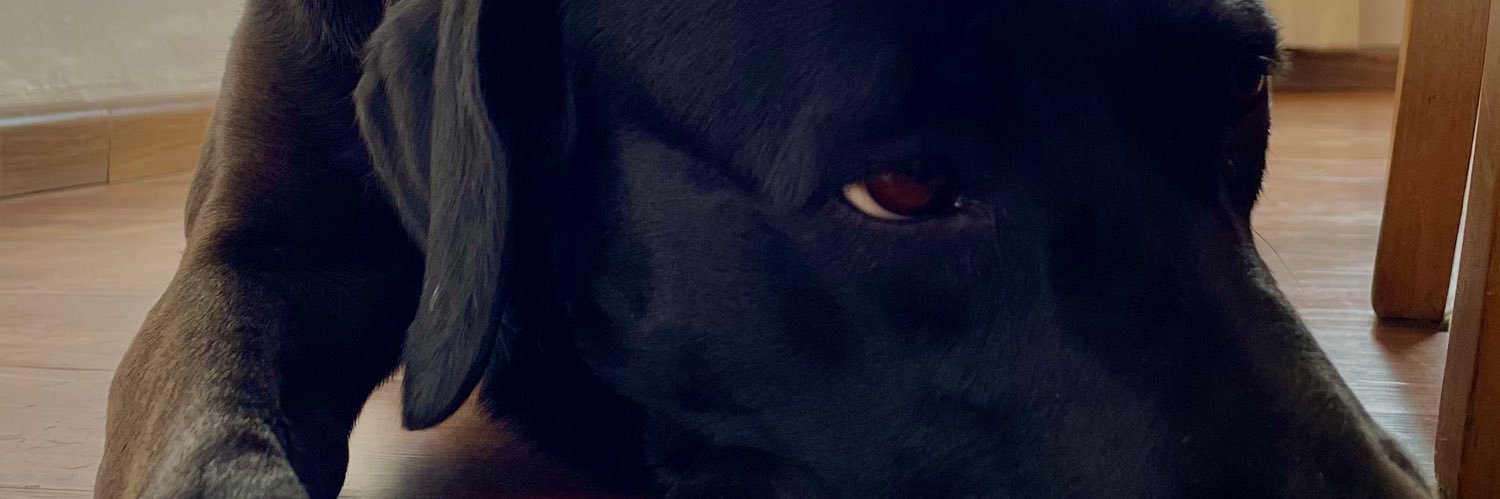 NiccoPucci's profile banner image