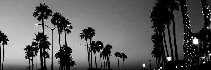 𝓝𝓲𝓴𝓴𝓲 ᴺᴹ's banner