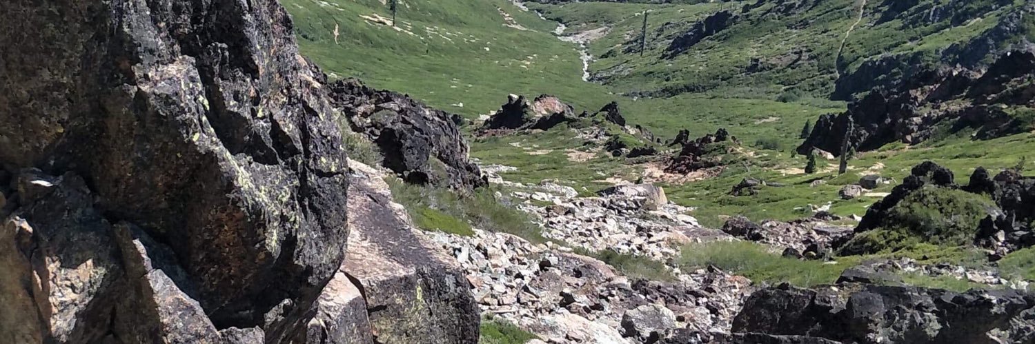 Amelia Munson banner