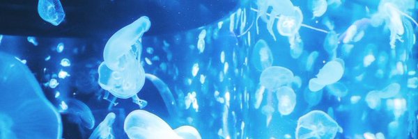 AndreaNaeko Profile Banner