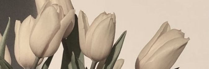 stmorataya's profile banner image