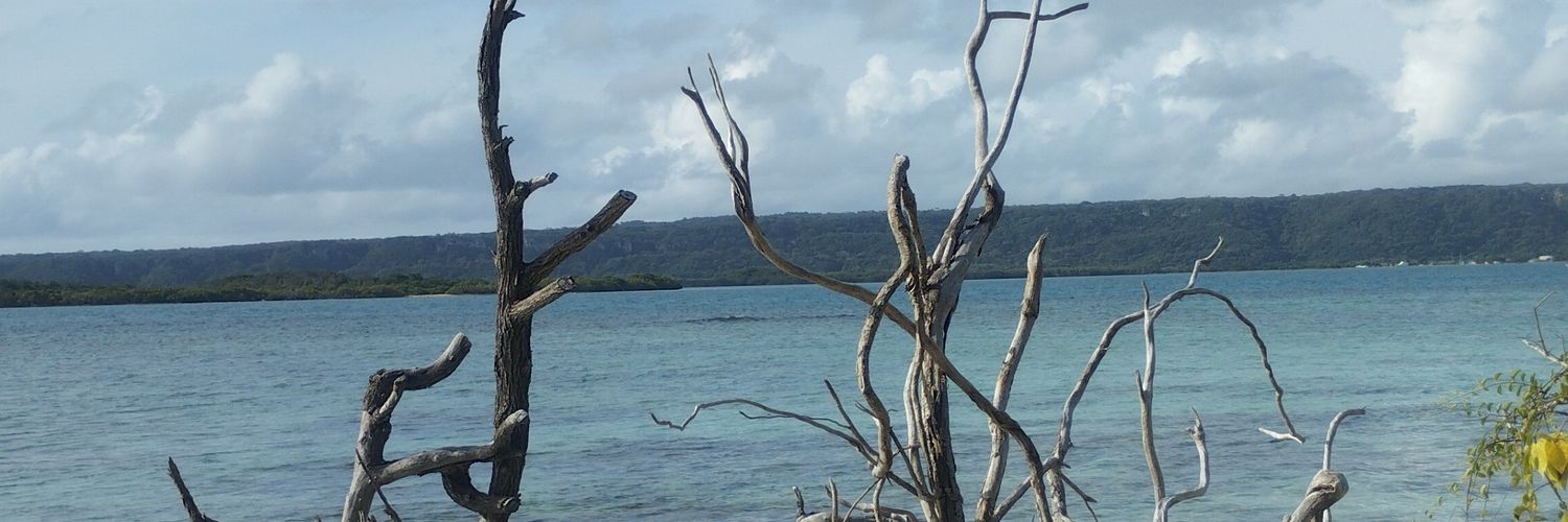 aManosalva's profile banner image