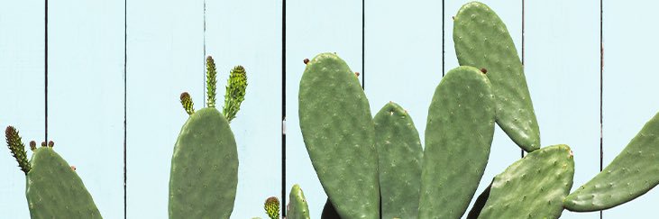 Margaux Ogunsola banner