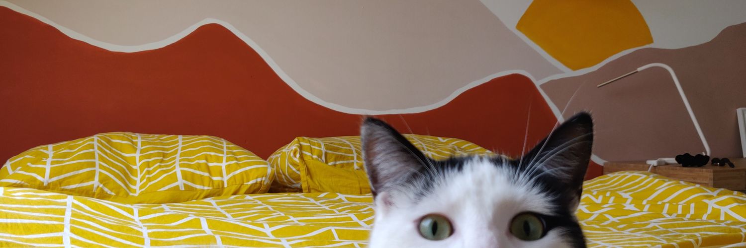 toek fanaccount banner