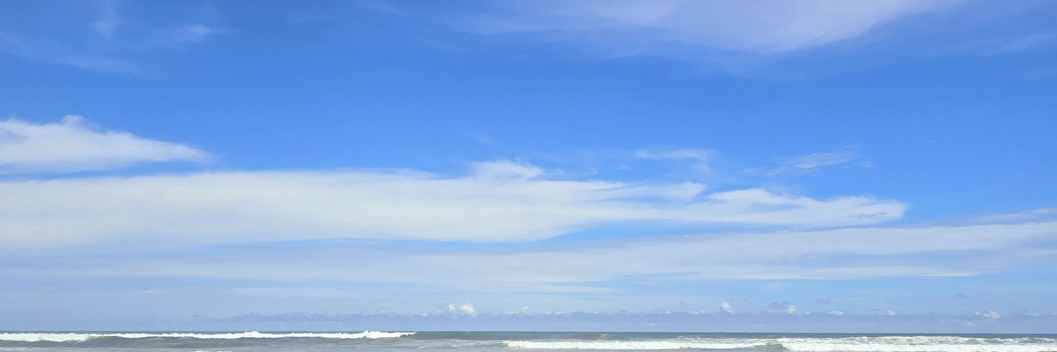 RhoChinazo's profile banner image