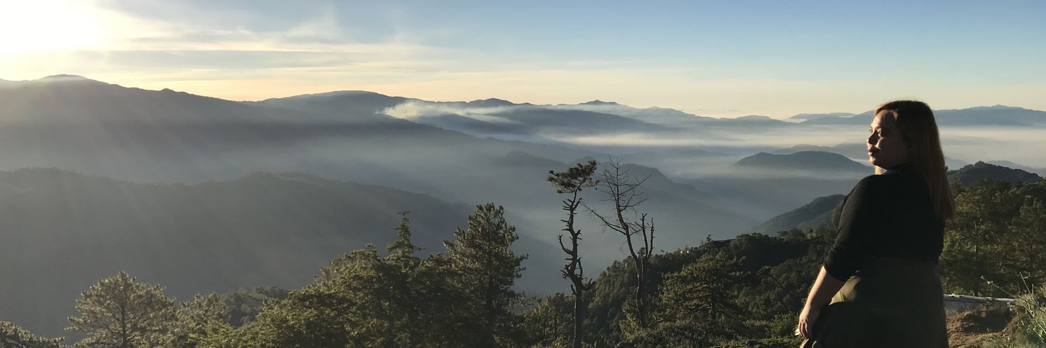 Nicalishus's profile banner image